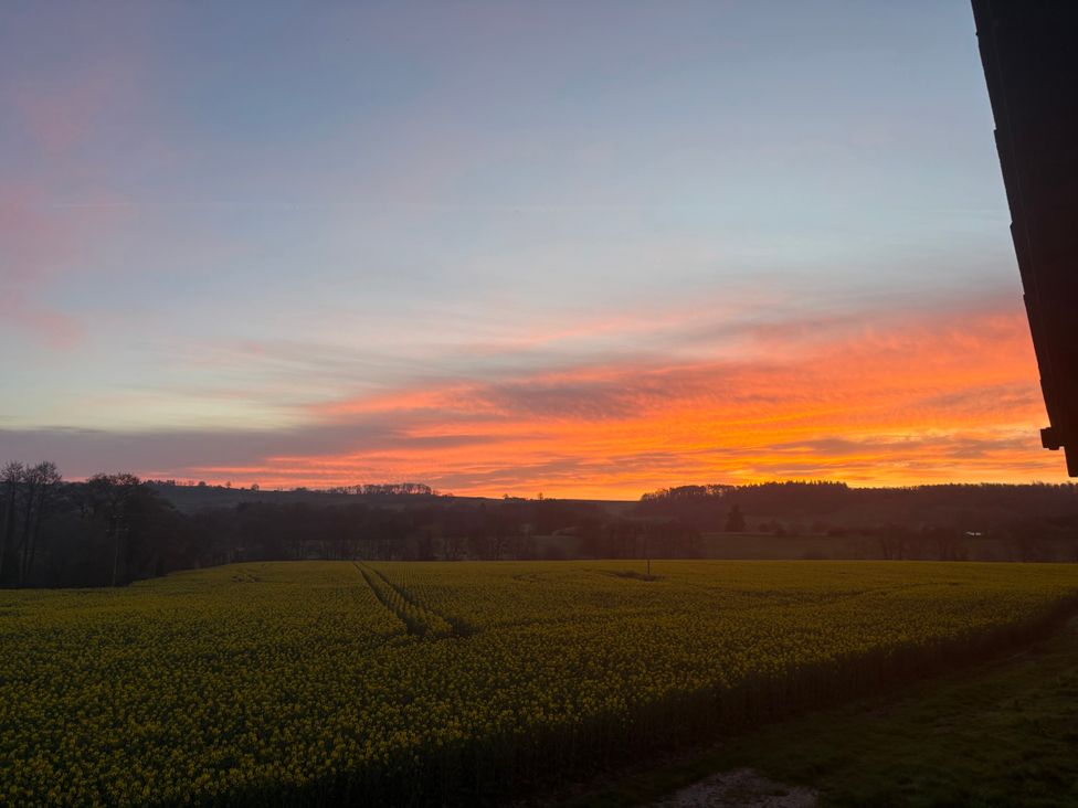 A sunset over a yellow flower field at The Blacksmiths Shop in Collington in Bromyard