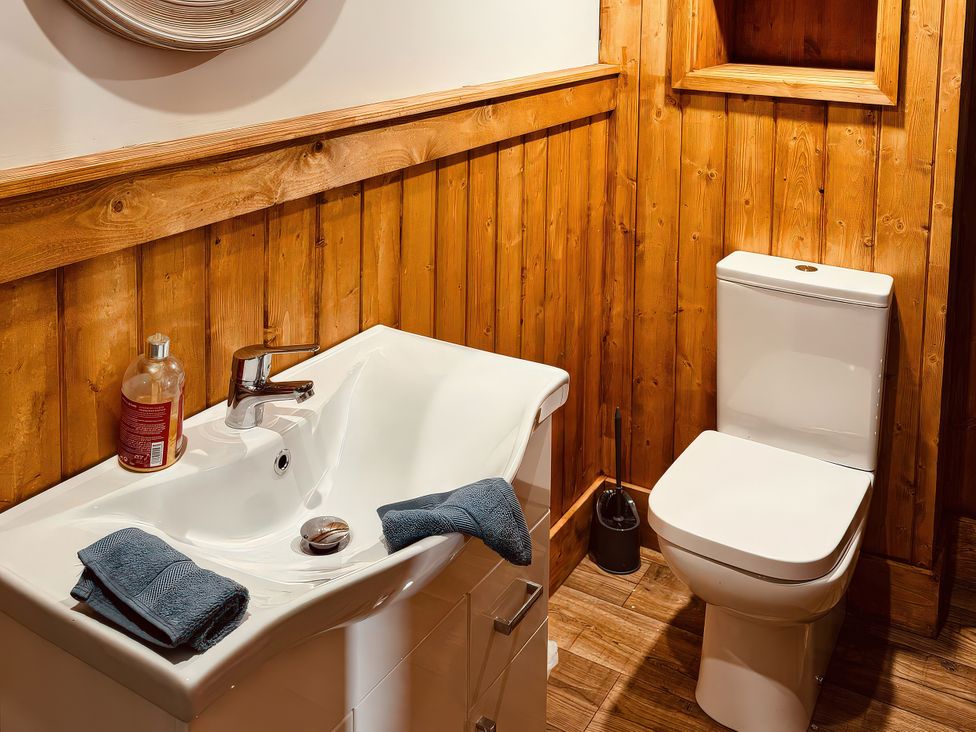 A bathroom with a sink and a toilet at Fisherman Lodge No 2 Enniskillen