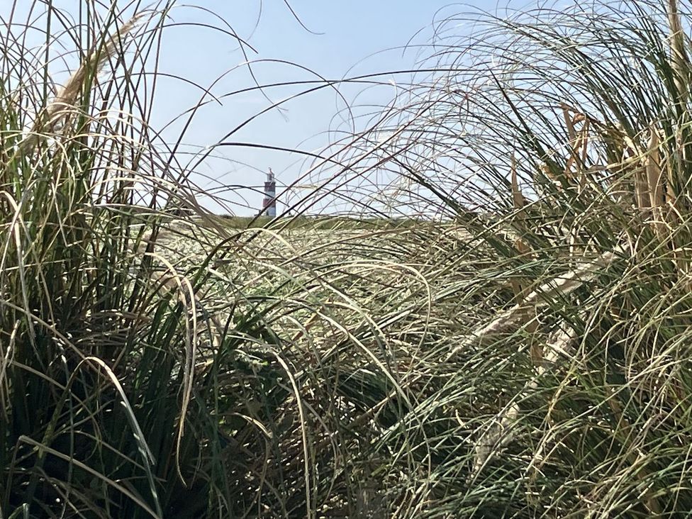 A lighthouse visible through grass at Seadrift Bush Estate near Happisburgh