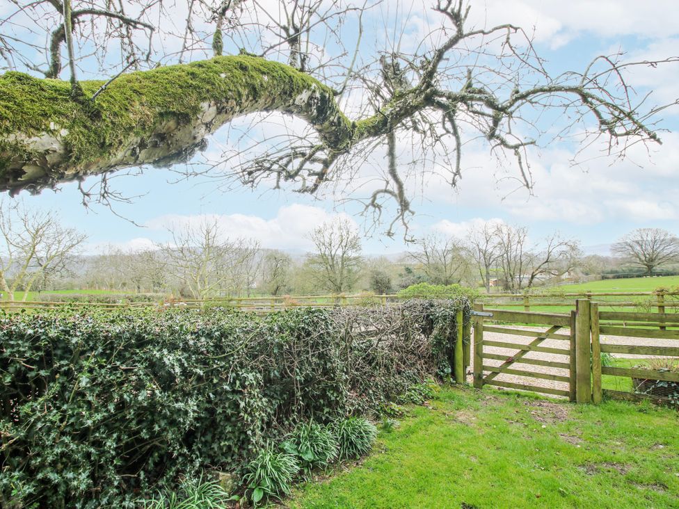 An outdoor area with a tree and a gate at Bell House Cottage in Wistanstow near Craven Arms