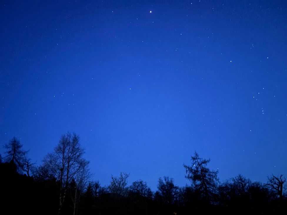 A night sky with stars and silhouettes of trees at Bluebelle - Crossgate Luxury Glamping Hartsop