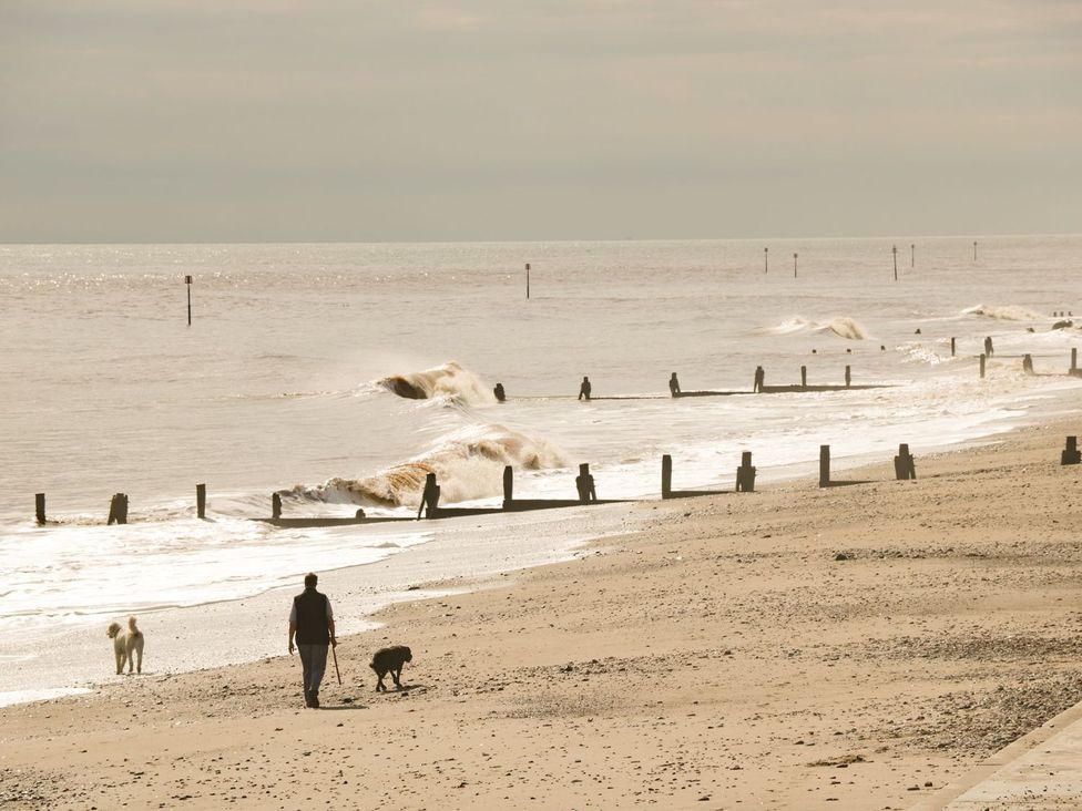 A beach scene with people walking dogs and waves at Lavender Lodge in Hull