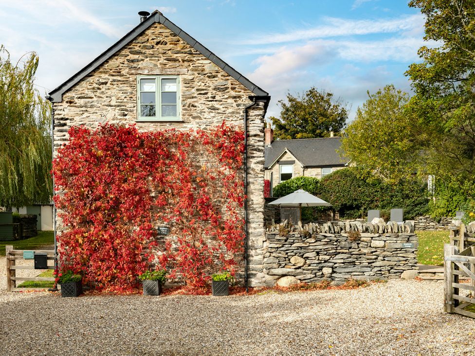 A house with stone walls and a red plant at Shepherds Cottage in Llandrillo