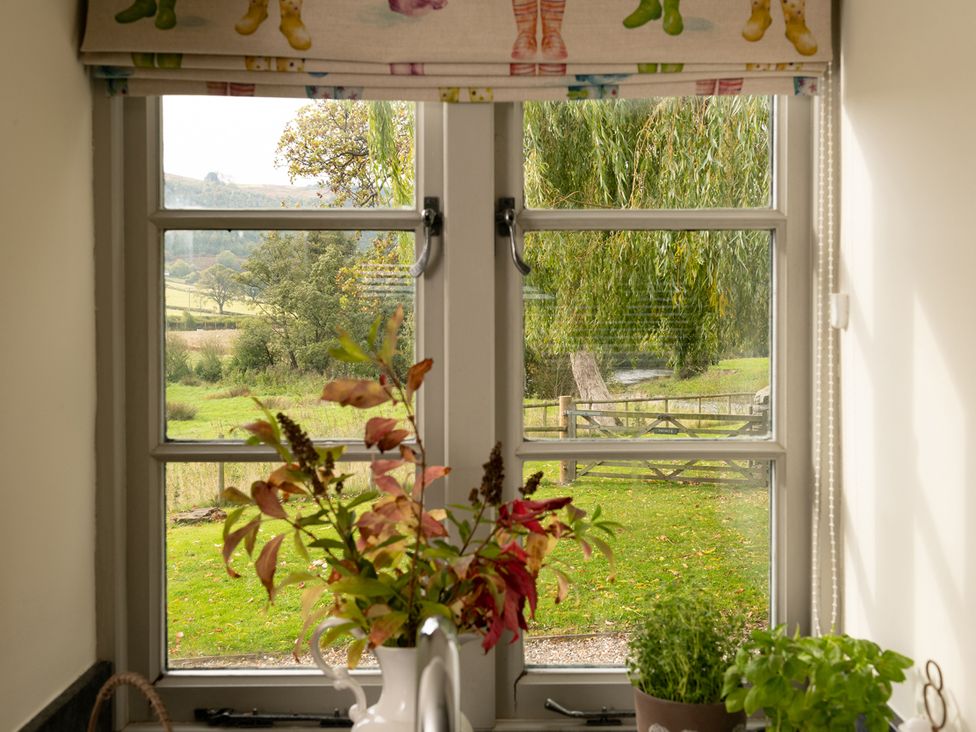 A window with flowers and plants in a kitchen at Shepherds Cottage Llandrillo