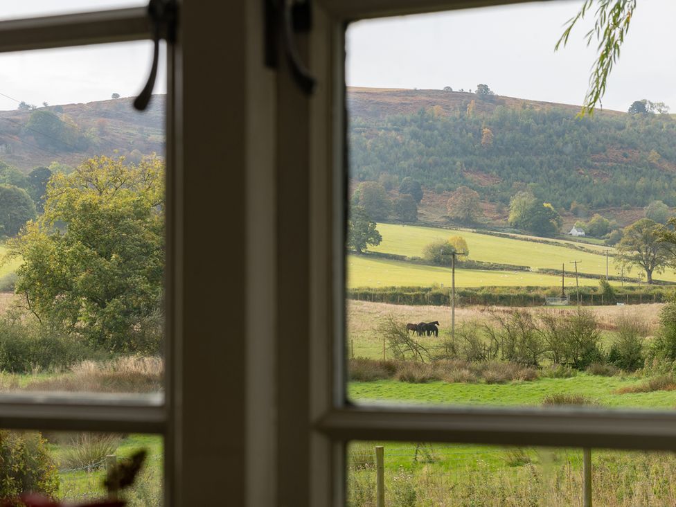 A view of a field with a horse and trees at Shepherds Cottage in Llandrillo