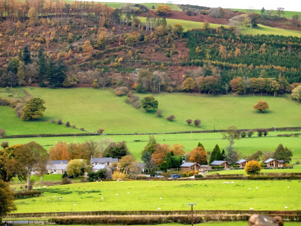A view of fields and houses with trees at Flyfishers Cottage in Llandrillo