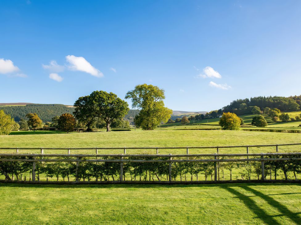 A field with trees and a fence at Lagom Log Cabin in Llandrillo