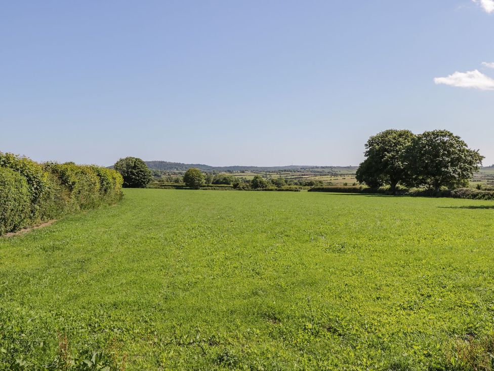 A field with grass and trees in the background at Ty Mawr Farm in Llanfairpwllgwyngyll