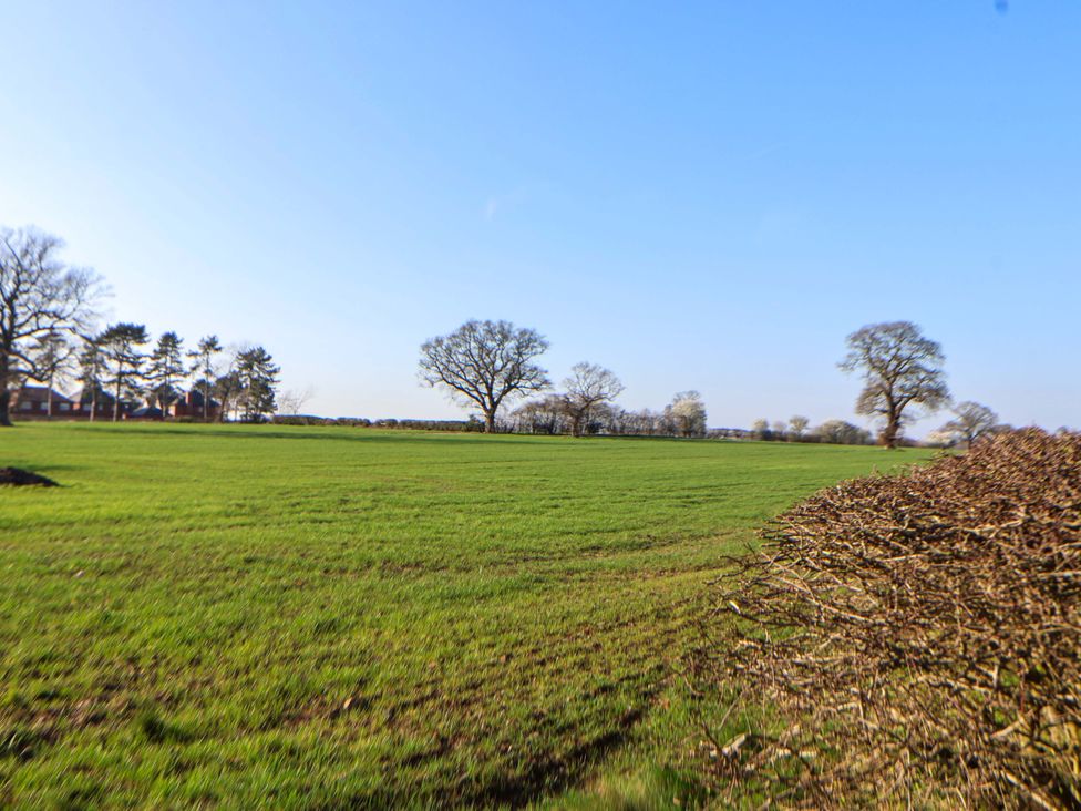 A field with trees and a fence at 10 Church Walks Chester