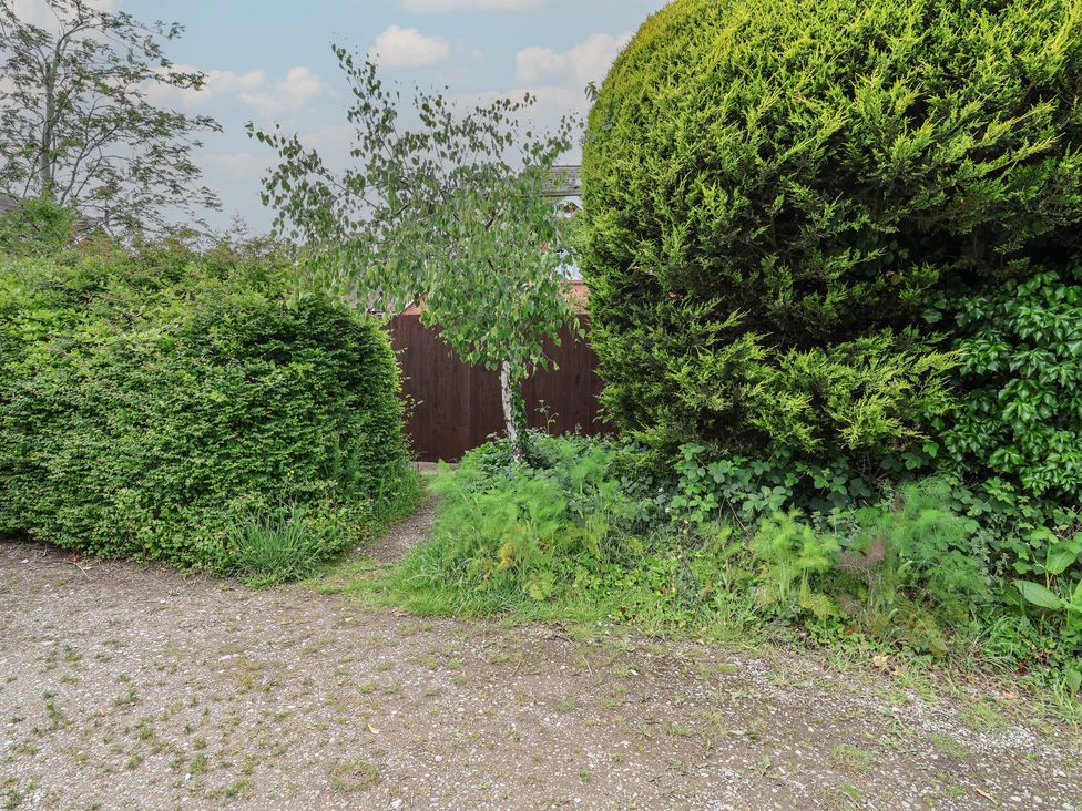 A garden with bushes and a pathway at 10 Church Walks in Christleton