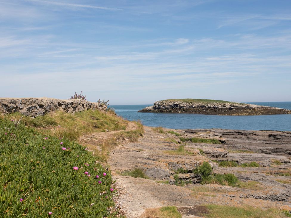 A rocky shore with grass and flowers near the sea at Too Hoots Lligwy