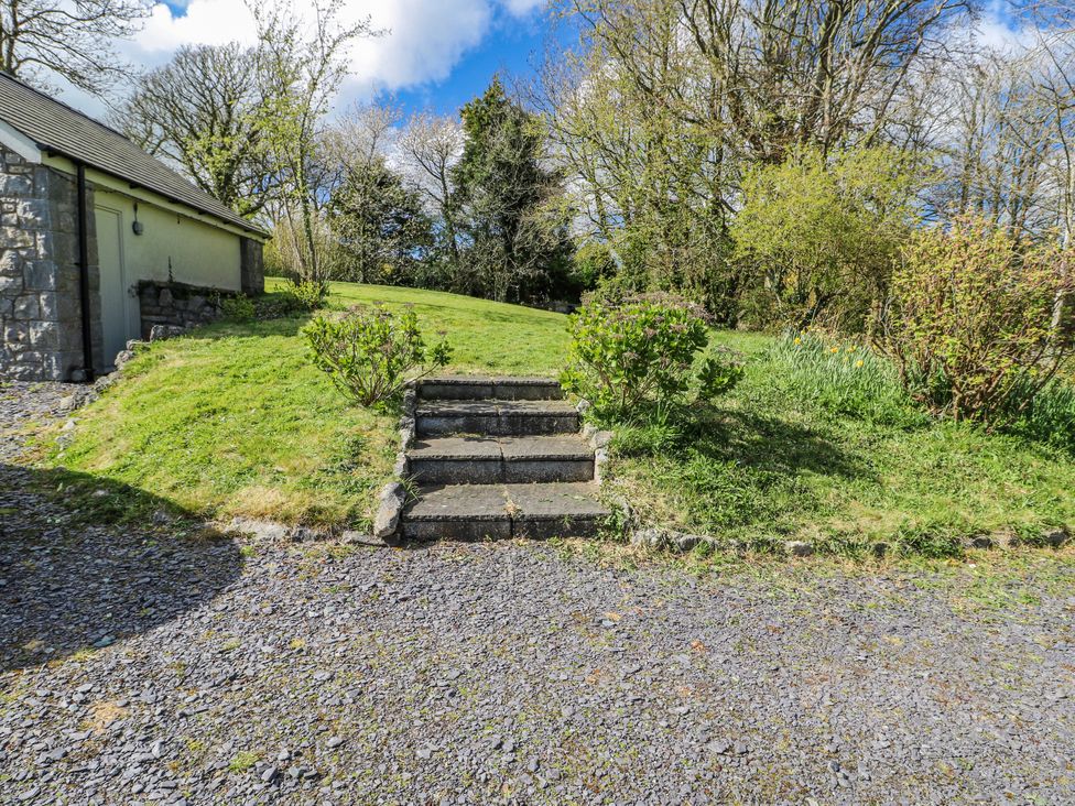 A garden with steps leading to grass and bushes at Too Hoots in Lligwy