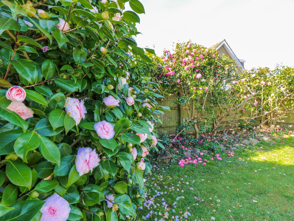 A garden with flowers and greenery at 2 Trelawny Way in Bembridge