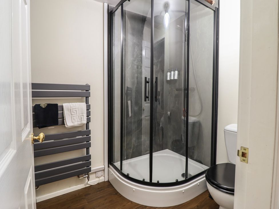 A bathroom with a shower and toilet at Plas Dolguog in Machynlleth