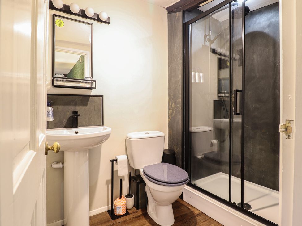 A bathroom with a sink, toilet, and shower at Plas Dolguog in Machynlleth
