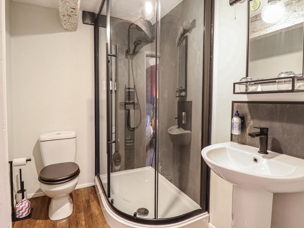 A bathroom featuring a shower, toilet, and sink at Plas Dolguog, Machynlleth