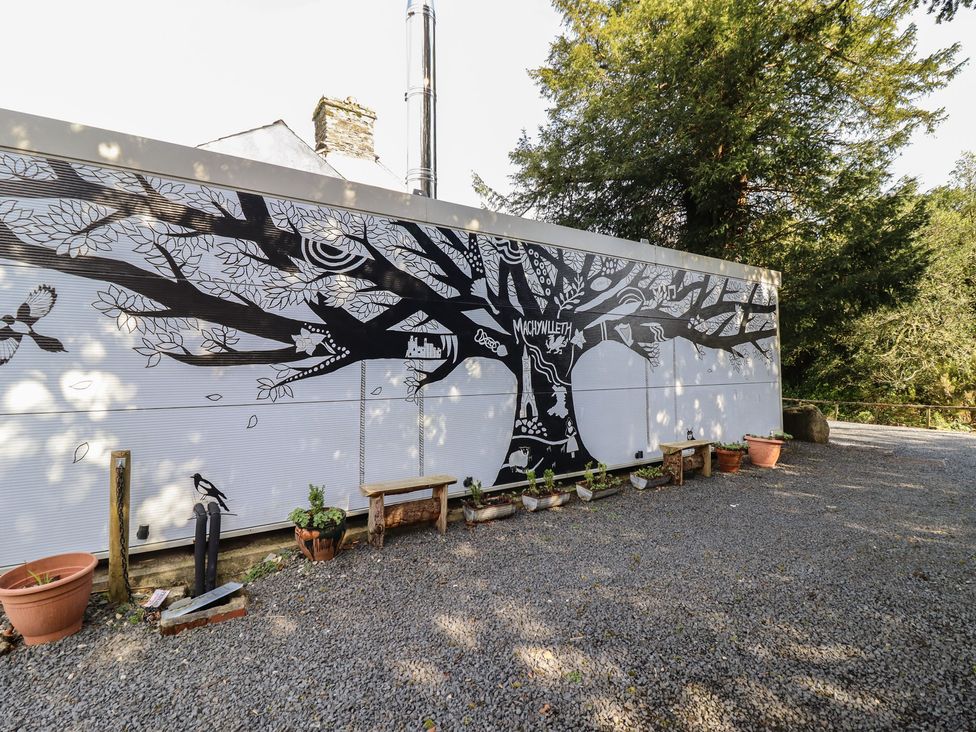 A mural of a tree on a wall with plants and gravel at Plas Dolguog Machynlleth
