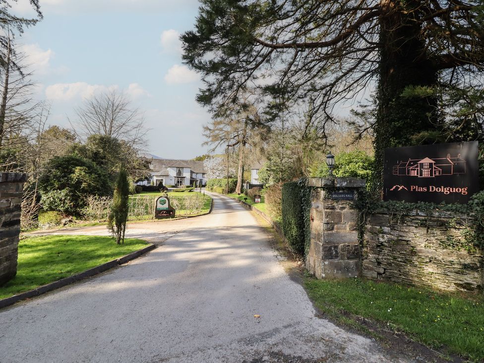 A road leading to Plas Dolguog in Machynlleth