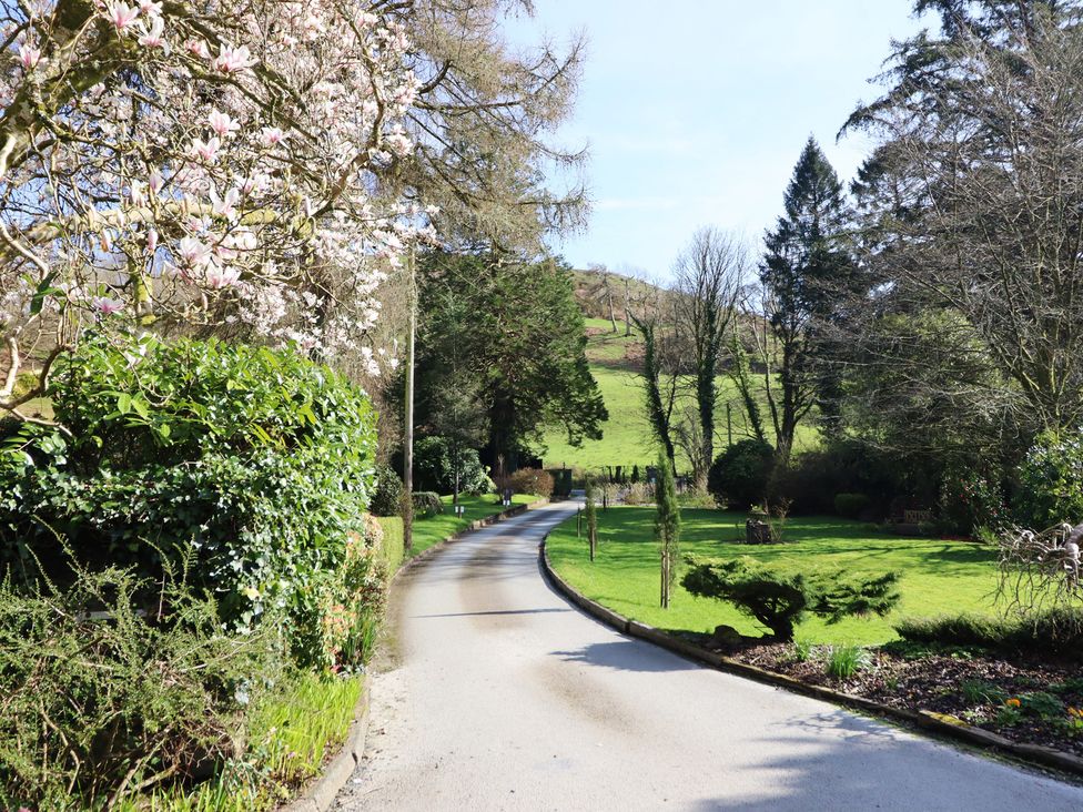 A driveway lined with trees and flowering plants at Plas Dolguog in Machynlleth