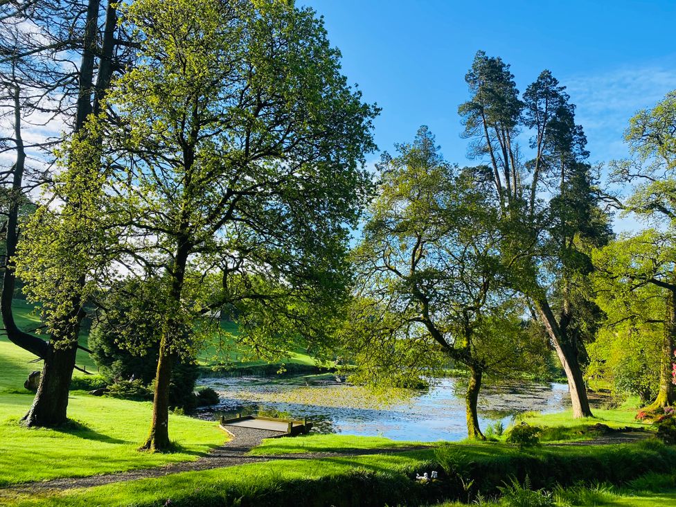 A lakeside view with trees and a bench at Lakeview Villa near Liskeard