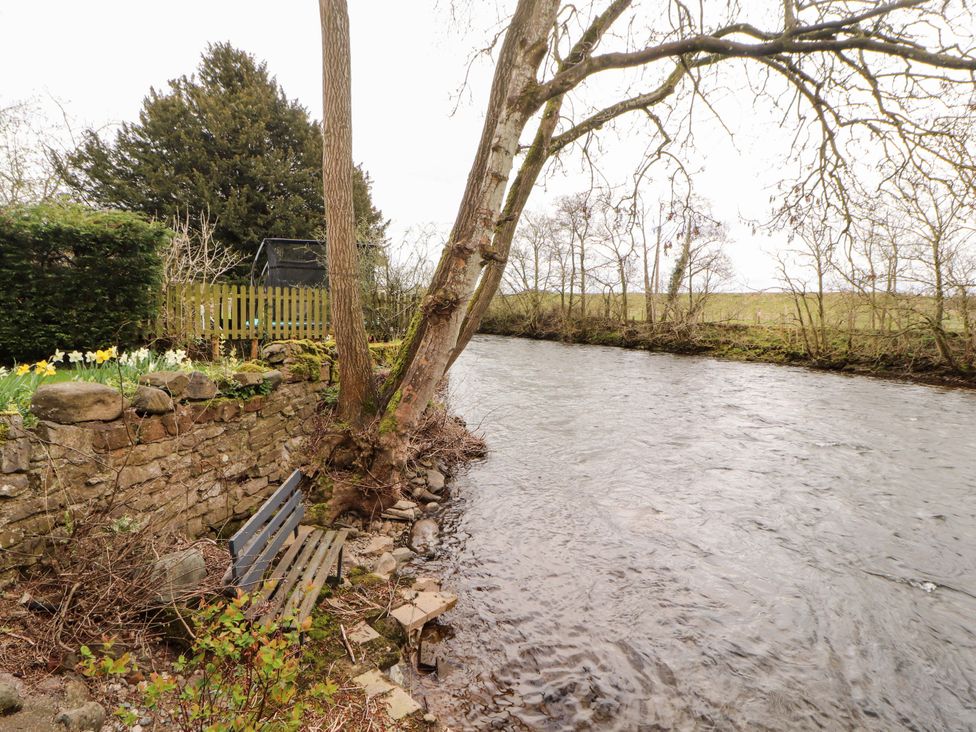 A river with a bench and tree beside it at High Mill House Penrith