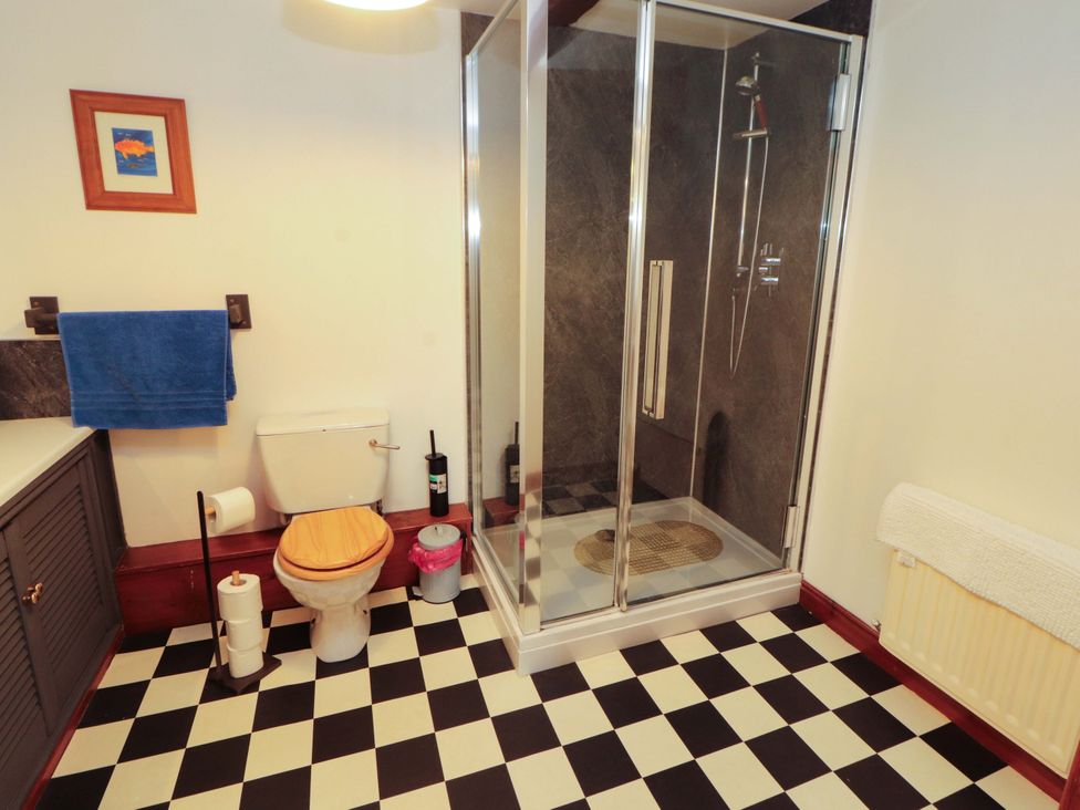 A bathroom with a shower and toilet at High Mill House in Penrith