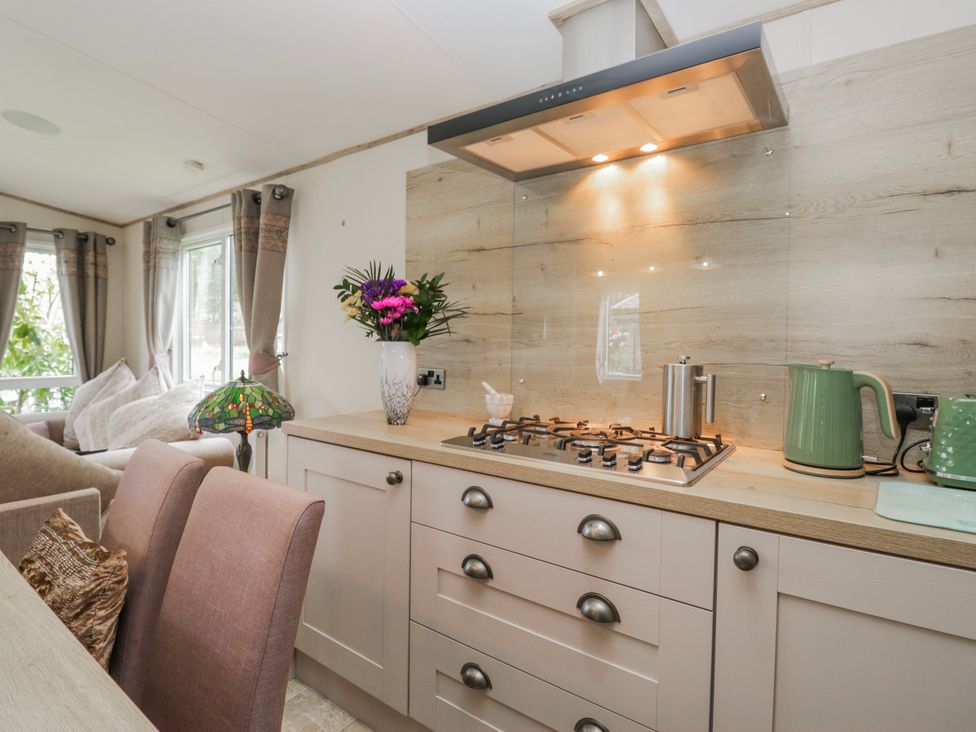 A kitchen with a stove and kettle at Carp Lodge