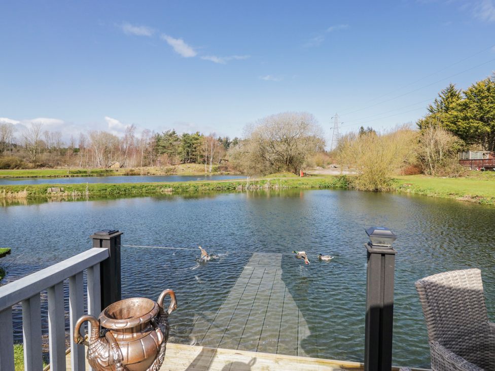 A pond with ducks and a dock at Carp Lodge
