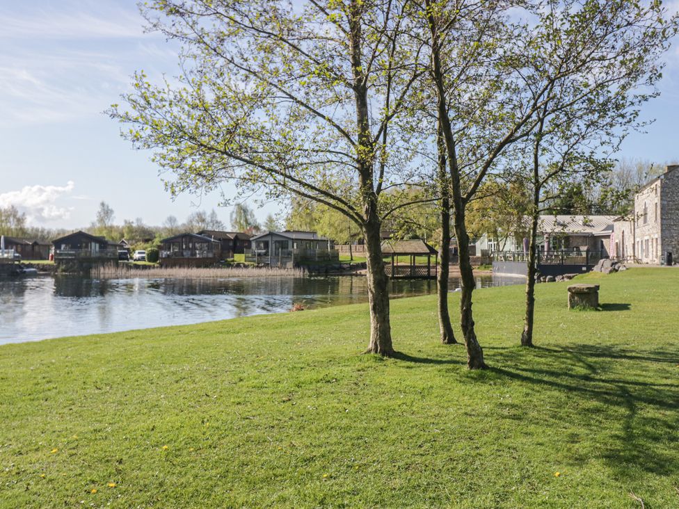 A view of trees and wooden cabins by a lake at Carp Lodge near Carnforth