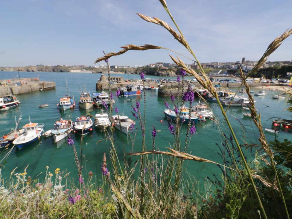 A harbor with boats and flowers in the foreground at La Casita in Newquay