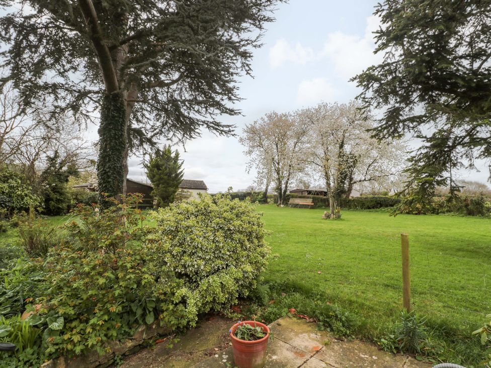 A garden with grass and trees at The Annexe at Cherry Cottage Upton St Leonards