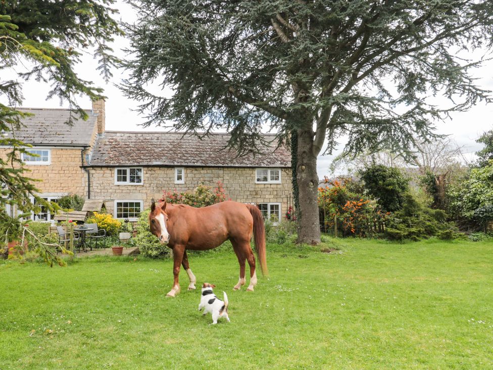 A horse and dog in a garden at The Annexe at Cherry Cottage Upton St Leonards