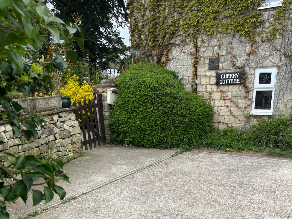 An outdoor area with a bush and stone wall at The Annexe at Cherry Cottage Upton St Leonards