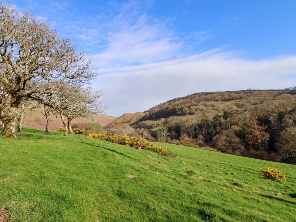 A landscape with trees and hills at Chalet 23 Erw Porthor Tywyn