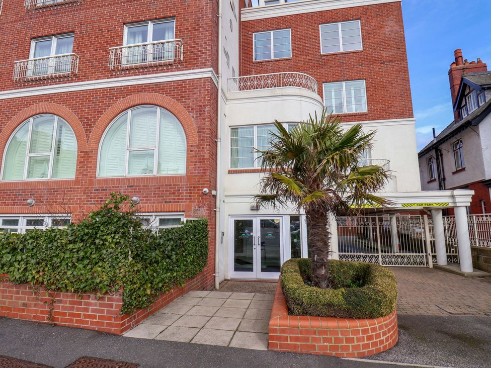 An entrance area with a palm tree and plants at Apartment 12