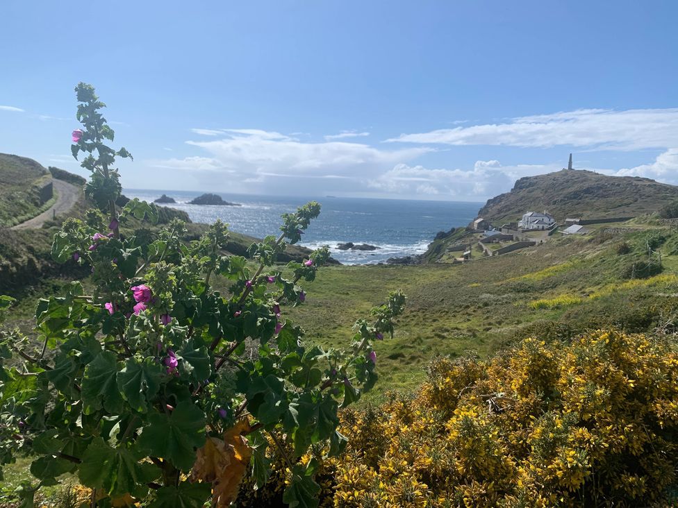 A coastal view with flowers and houses at Cape View in Cape Cornwall near St Just