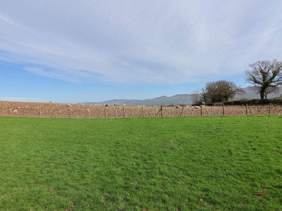 A field with grass and a fence at Caravan Woodlands Hall Caravan Park near Ruthin