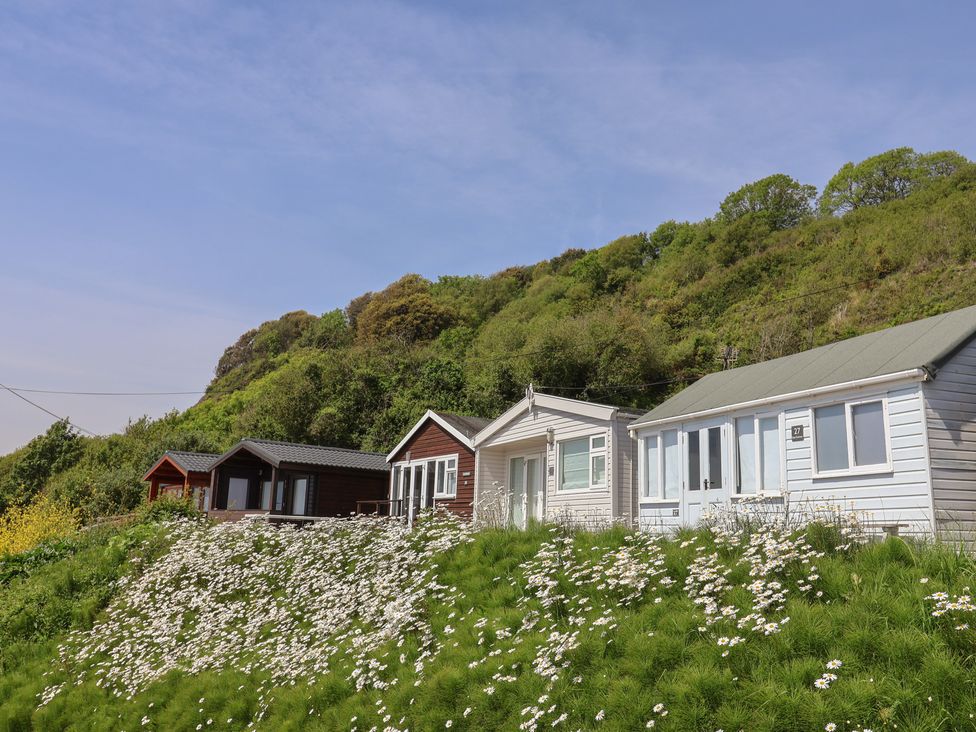 Four beach huts with flowers in the foreground at Salt & Stone Lyme Regis