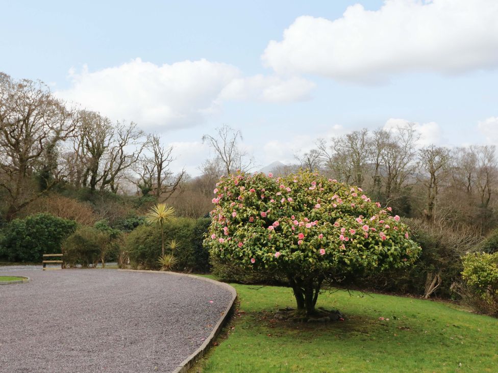 A garden with a tree and flowers at Lugdine Lodge Glengarriff