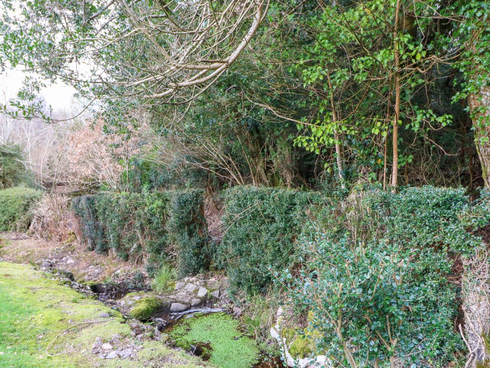 A garden with bushes and a stream at Lugdine Lodge in Glengarriff