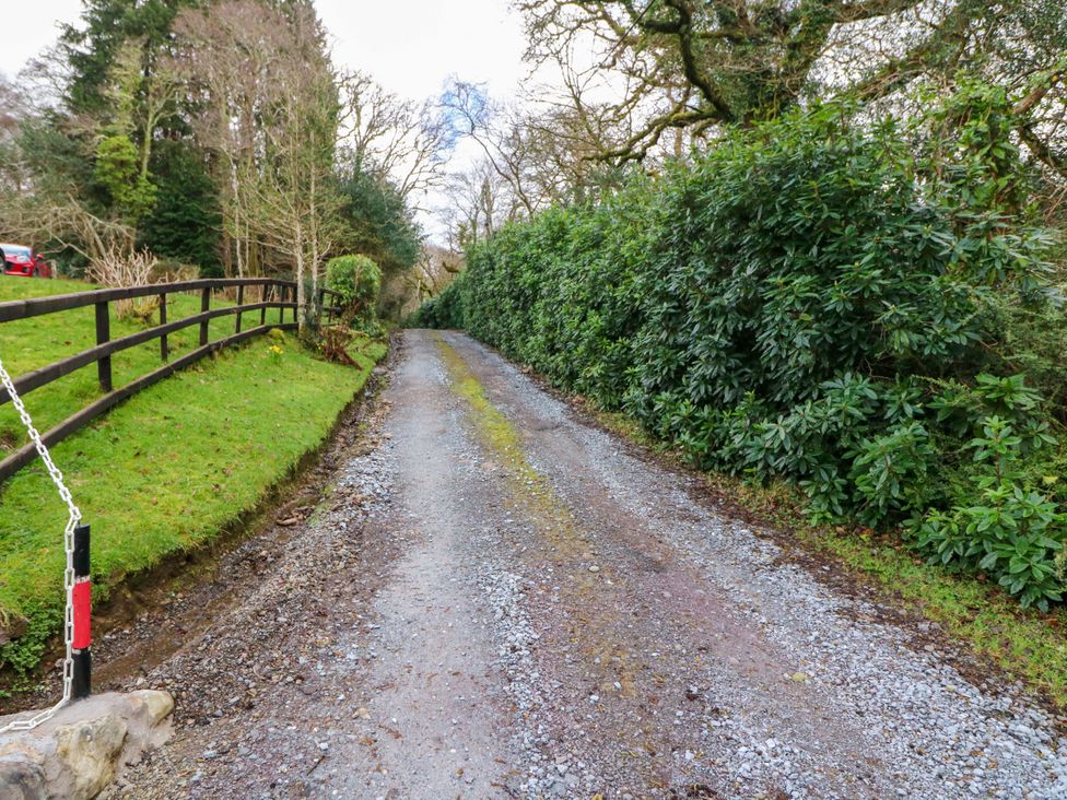 A gravel road surrounded by trees and bushes at Lugdine Lodge in Glengarriff