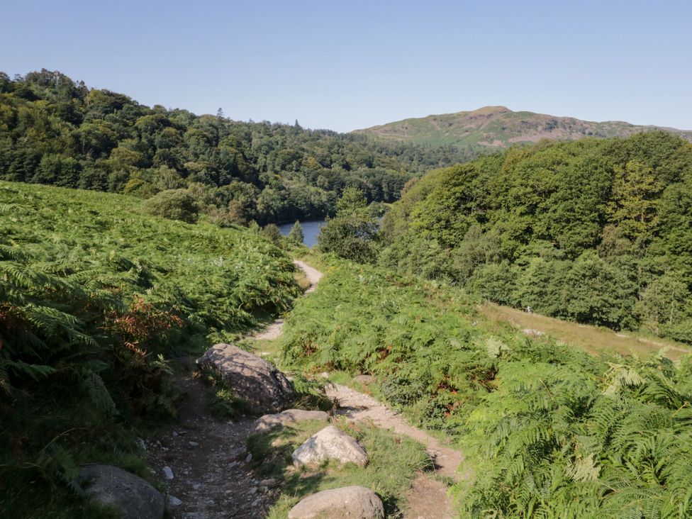 A path winding through ferns with a view of a lake in the background at Burnside Cottage Grange-Over-Sands