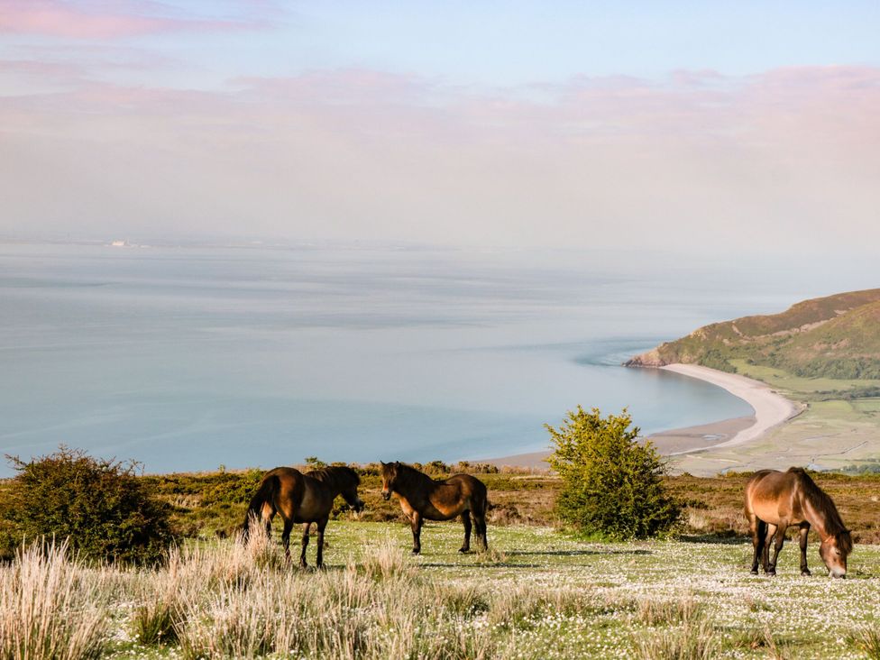 Horses grazing near the ocean at West Down Country House in South Molton