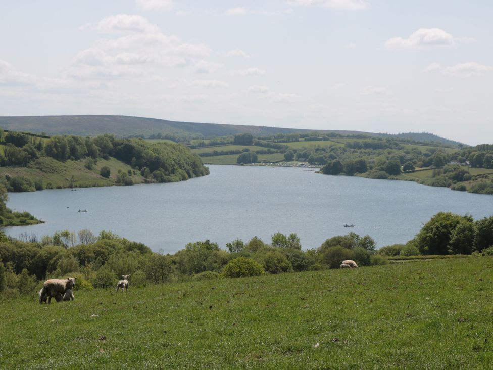 A view of a lake with sheep grazing in the foreground at West Down Country House in South Molton