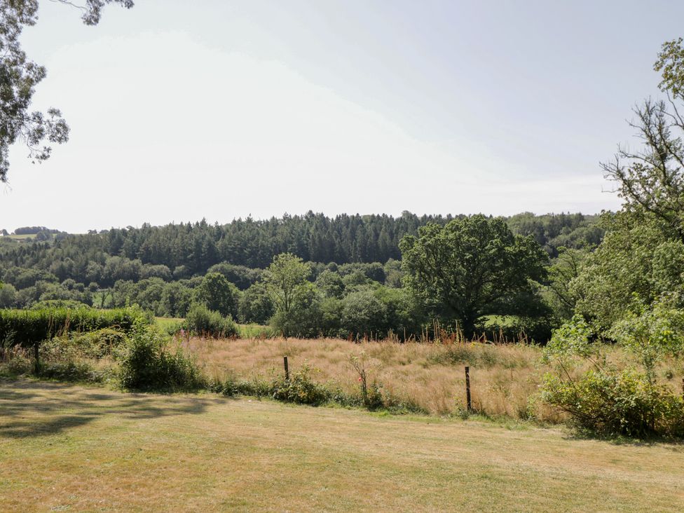 A field with trees and grass at West Down Country House South Molton