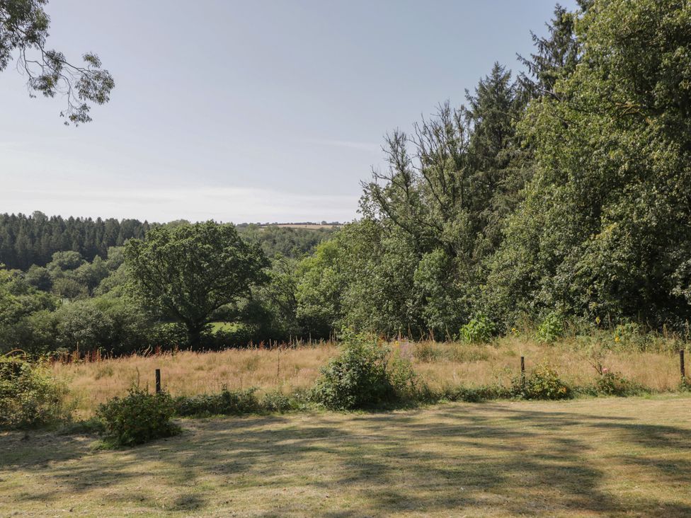 A green field with trees and a fence at West Down Country House South Molton