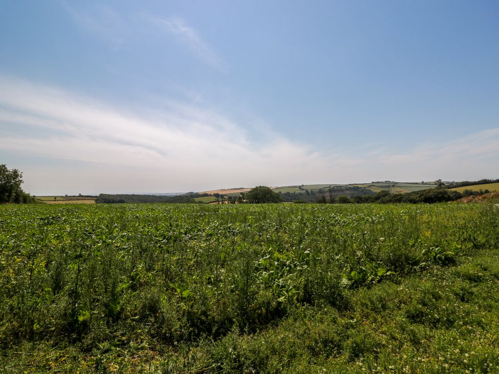 A field with grass and a distant horizon at Daisy Shepherd's Hut in South Molton