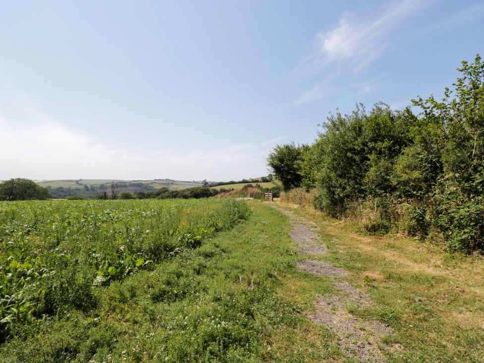 A path leading through a field with bushes and hills at Daisy Shepherd's Hut in South Molton