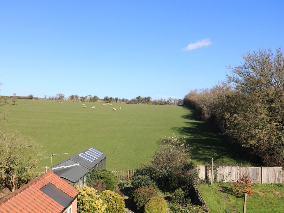 A field with sheep and trees at Highfields