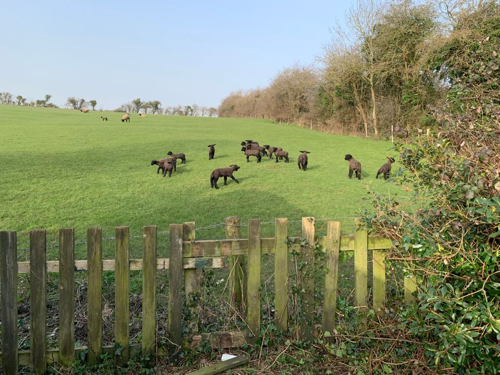 Highfields -  - 1198894 - thumbnail photo 12